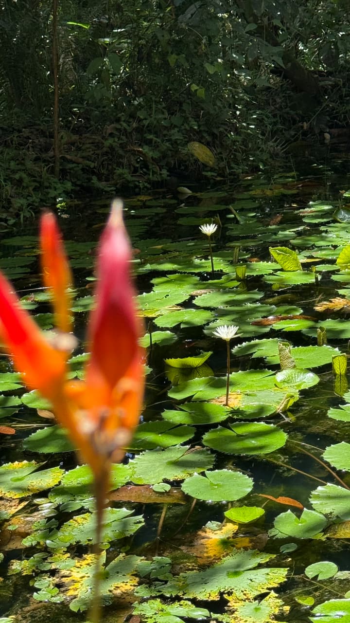 Momentos junto al río